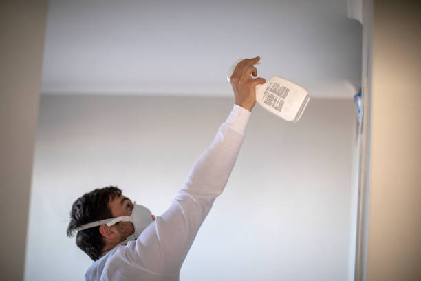 Best Certified Mold Removal  in St Augusta, MN